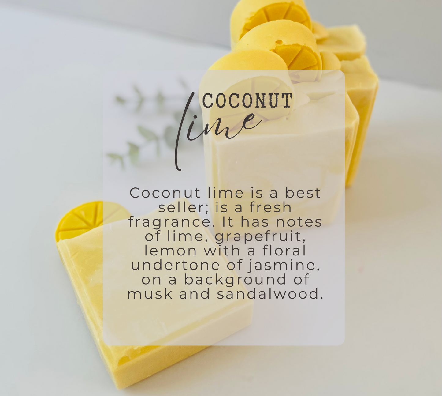 Coconut Lime Soap; this soap is scented with Coconut lime fragrance. This fragrance is a best seller; is a fresh fragrance. It has notes of lime, grapefruit, lemon with a floral undertone of jasmine, on a background of musk and sandalwood.