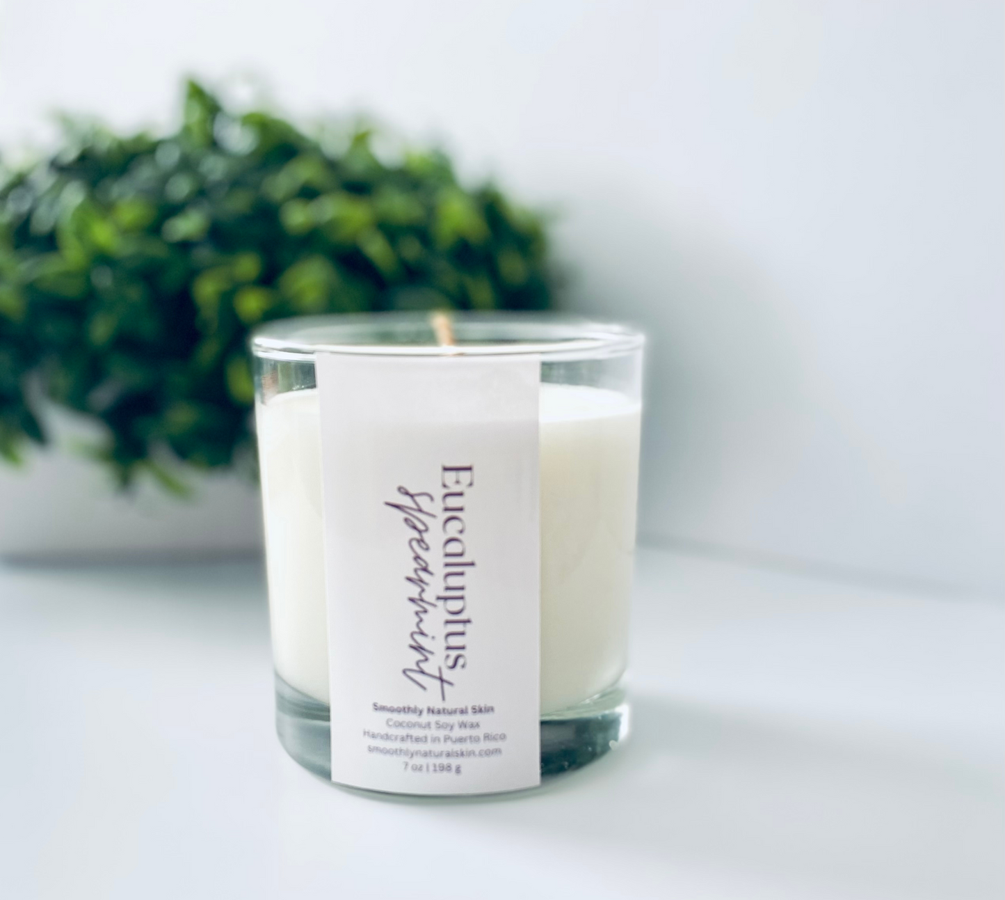 Eucalyptus + Spearmint Candles has a blend of eucalyptus and spearmint with fresh citrus lemon, lavender flowers, and a hint of sage. A Best Seller!