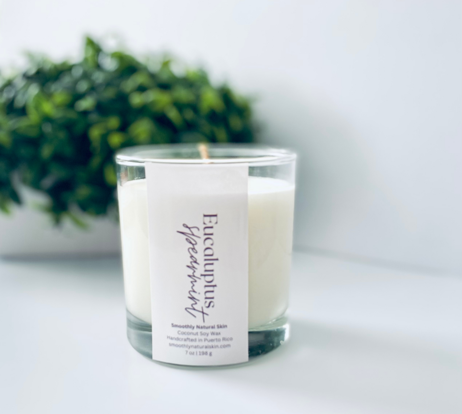Eucalyptus Spearmint  Coconut soy wax candle – Smoothly Natural Skin