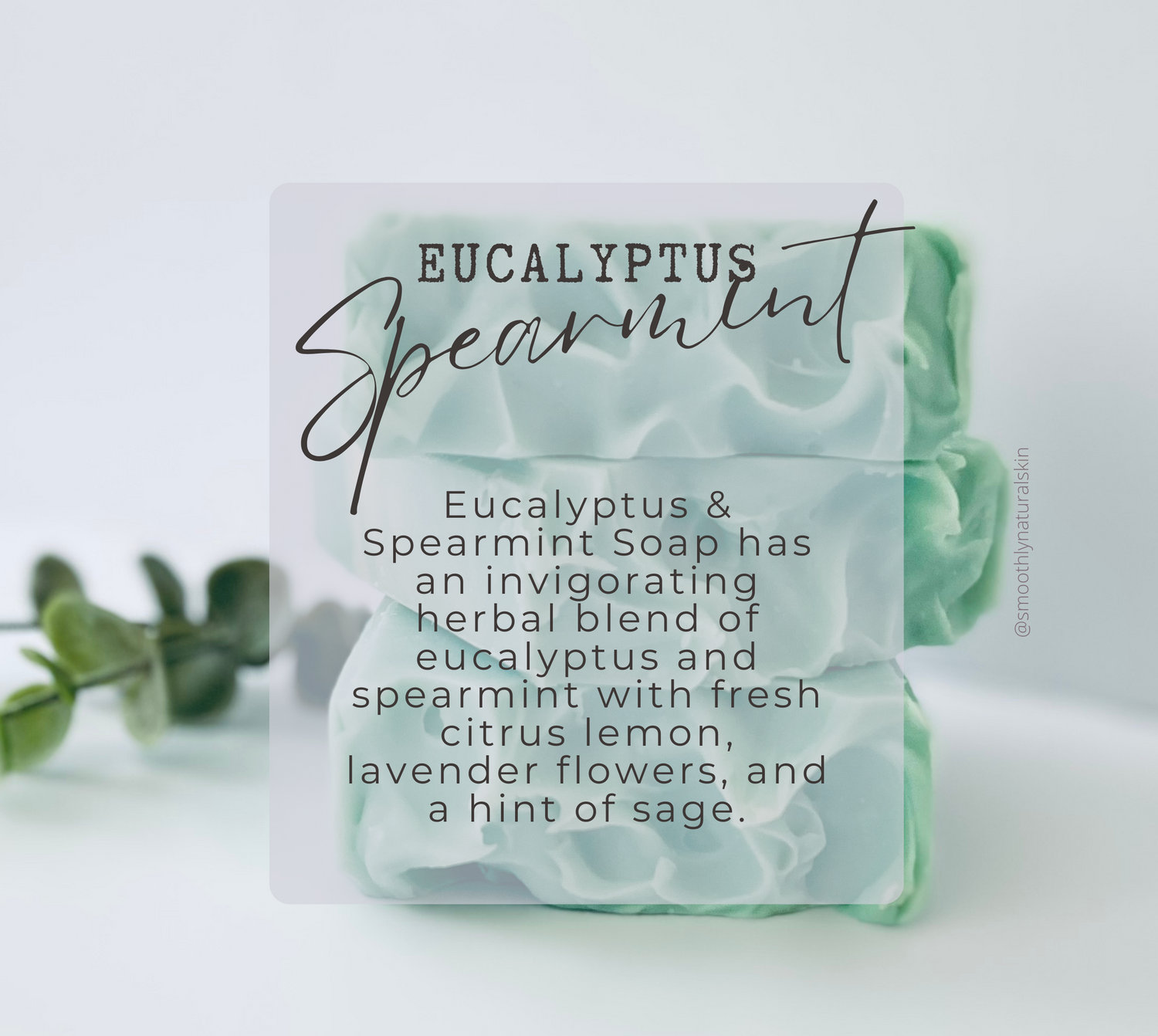 Eucalyptus & Spearmint Soap has an invigorating herbal blend of eucalyptus and spearmint with fresh citrus lemon, lavender flowers, and a hint of sage.