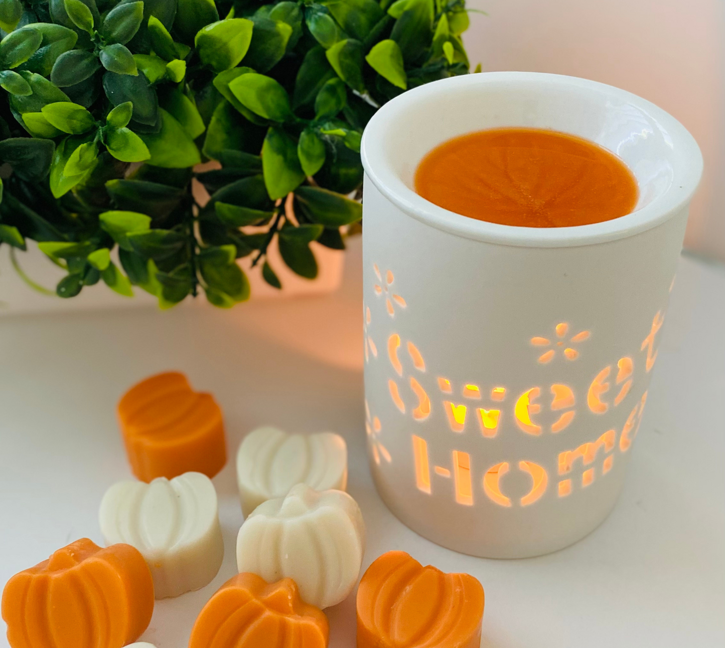 Pumpkin Wax melts | Soy Wax Melts